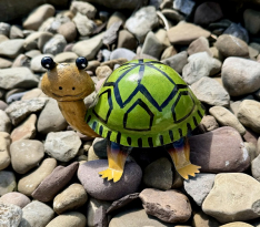 DIXIE TURTLE SMALL AVAIL JAN 2026